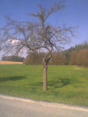 Obraz0091