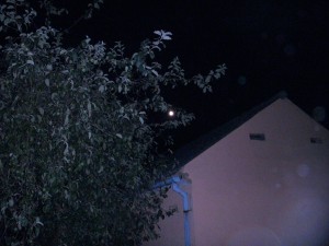 DSCN1940