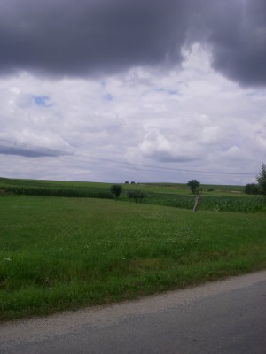 Snmek 401