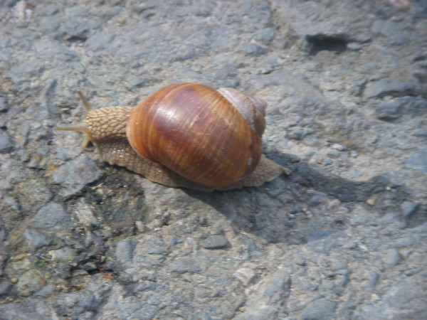 DSCN1980