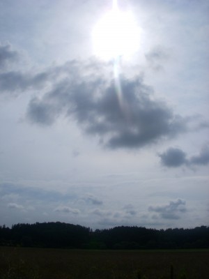 DSCN1987