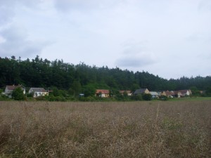 DSCN1988