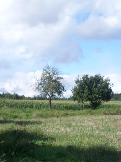 Snmek 572