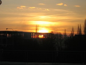 IMG_0462-1
