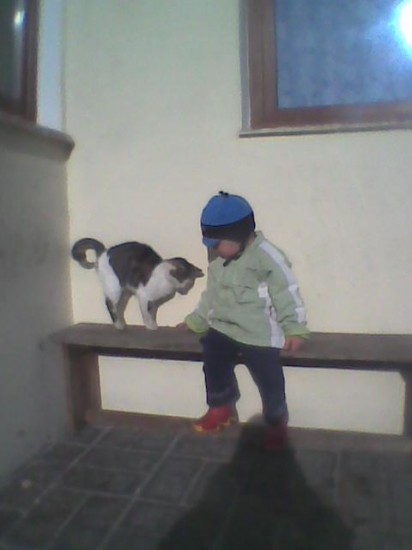 Mici
