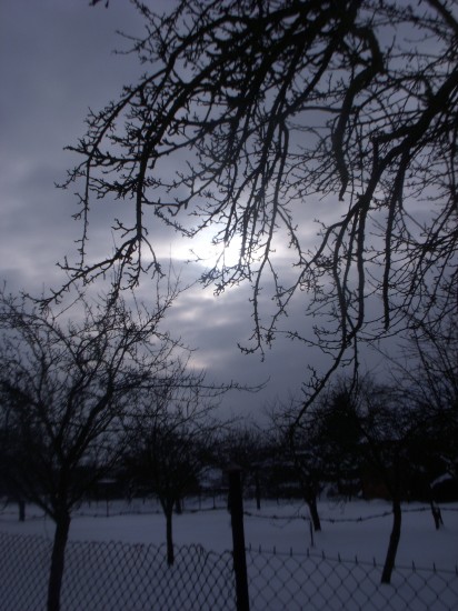 DSCN2298