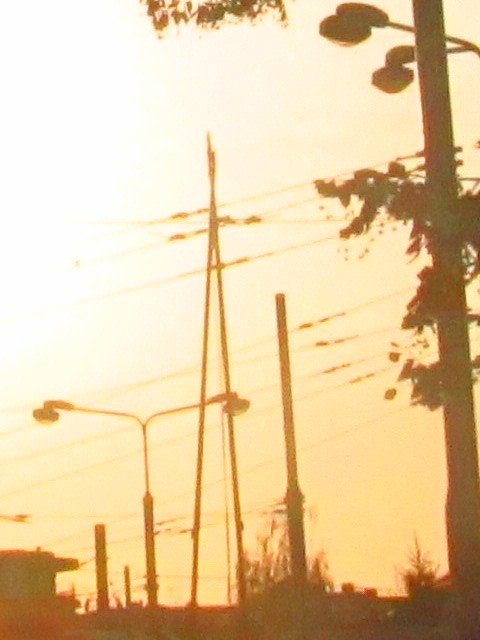 Snmek 157
