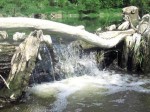 image (7)