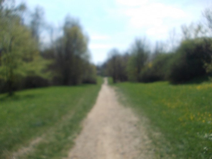 DSCN0506