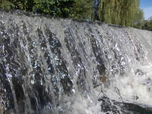 DSCN0858