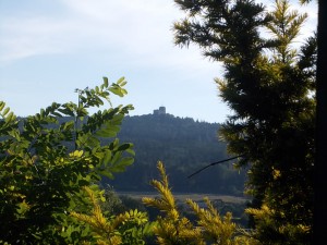 DSCN0861