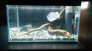 20150923_224846
